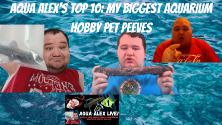 Aqua Alex's Top 10 My Biggest Aquarium Hobby Pet Peeves.png