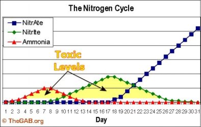 NitrogenCycle2.jpg