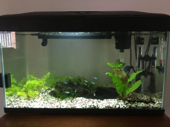 Fish tank.jpg