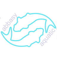 abbasy aquatic