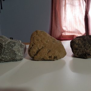 Rock Samples.jpg