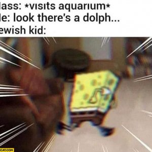 class-visits-aquarium-me-look-theres-a-dolpin-jewish-kid-running-away.jpg