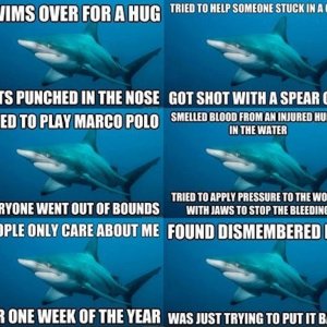 Misunderstood-Sharks.jpg