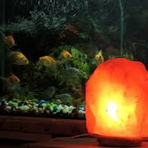 salt lamp near aquarium.jpg