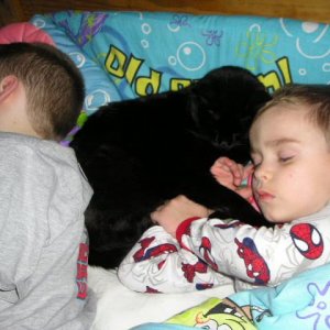 KIDS_AND_CATS_004.jpg