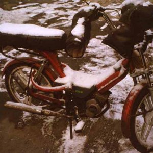 moped5.jpg