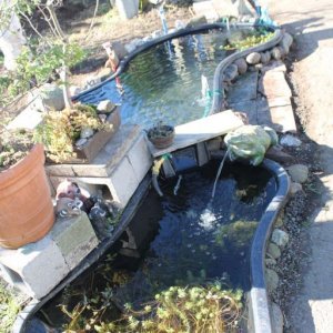 ponds complete with waterer.jpg