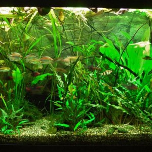 90g Feb 24-15.JPG