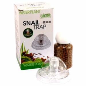 Snail-Trap-e1508313053833.png