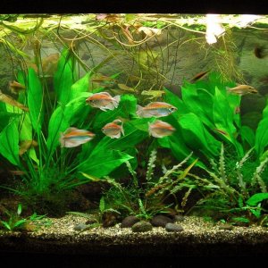 90g Aug 23-13.JPG