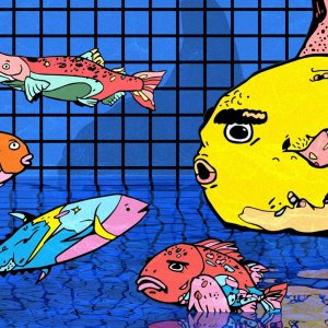 16by9-fish-cover-image-5(small).jpg