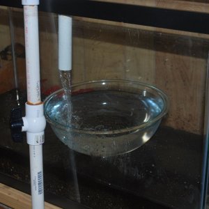 Filling tank with water using glass bowel.jpg