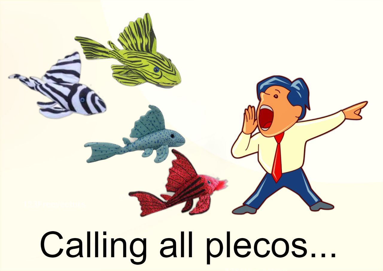 calling all plecos.jpg