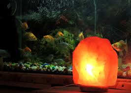 salt lamp near aquarium.jpg