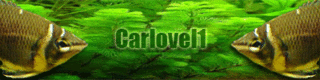 carlovl1.gif