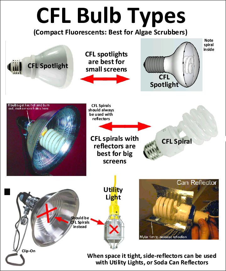 CFLtypes.jpg