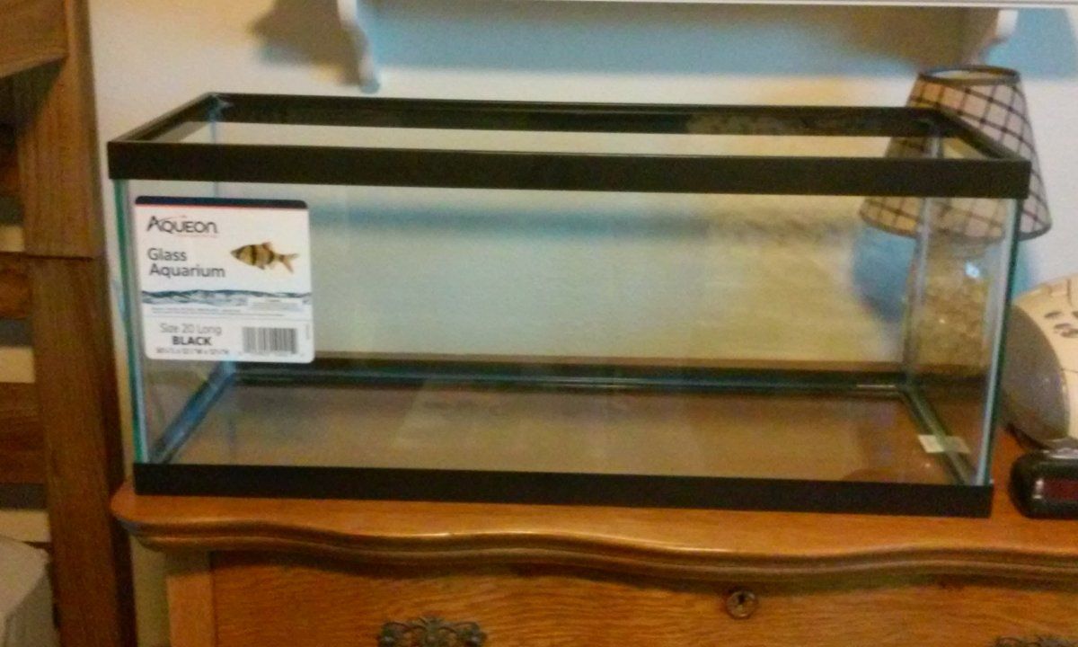 0707192024.jpg