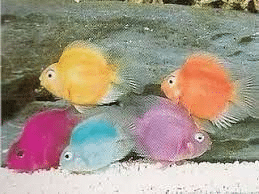 1603814684801.png