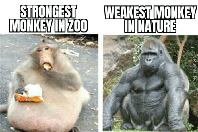 1629860962131.png