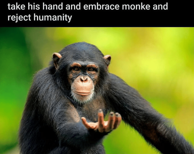 1629860985243.png