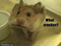 1629898656012.png