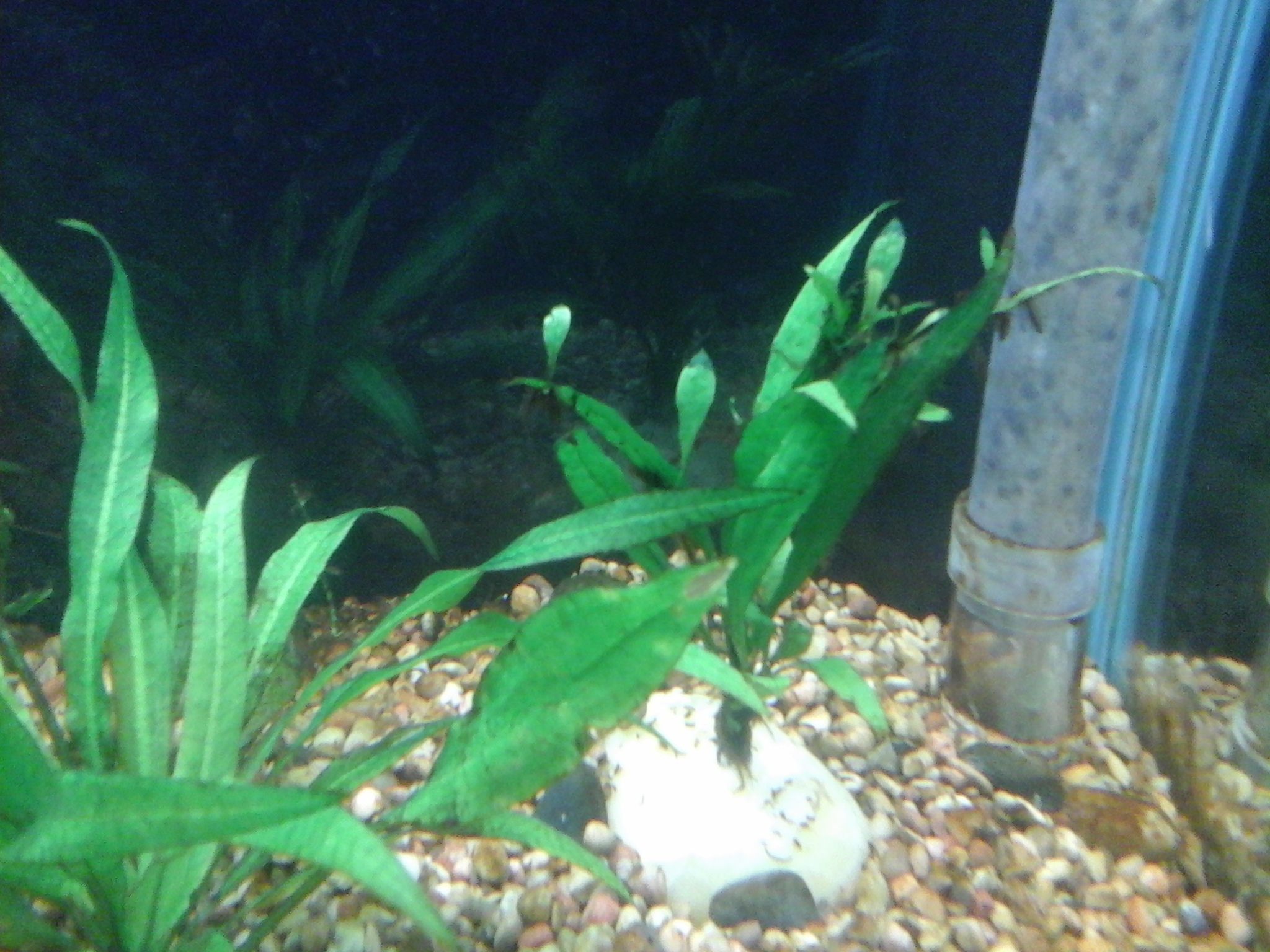 20161030_170357.jpg