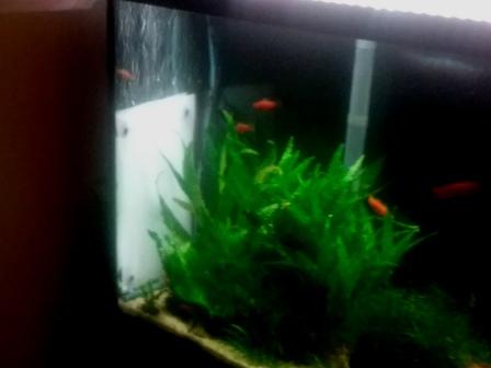 20171119_092054 - w.jpg