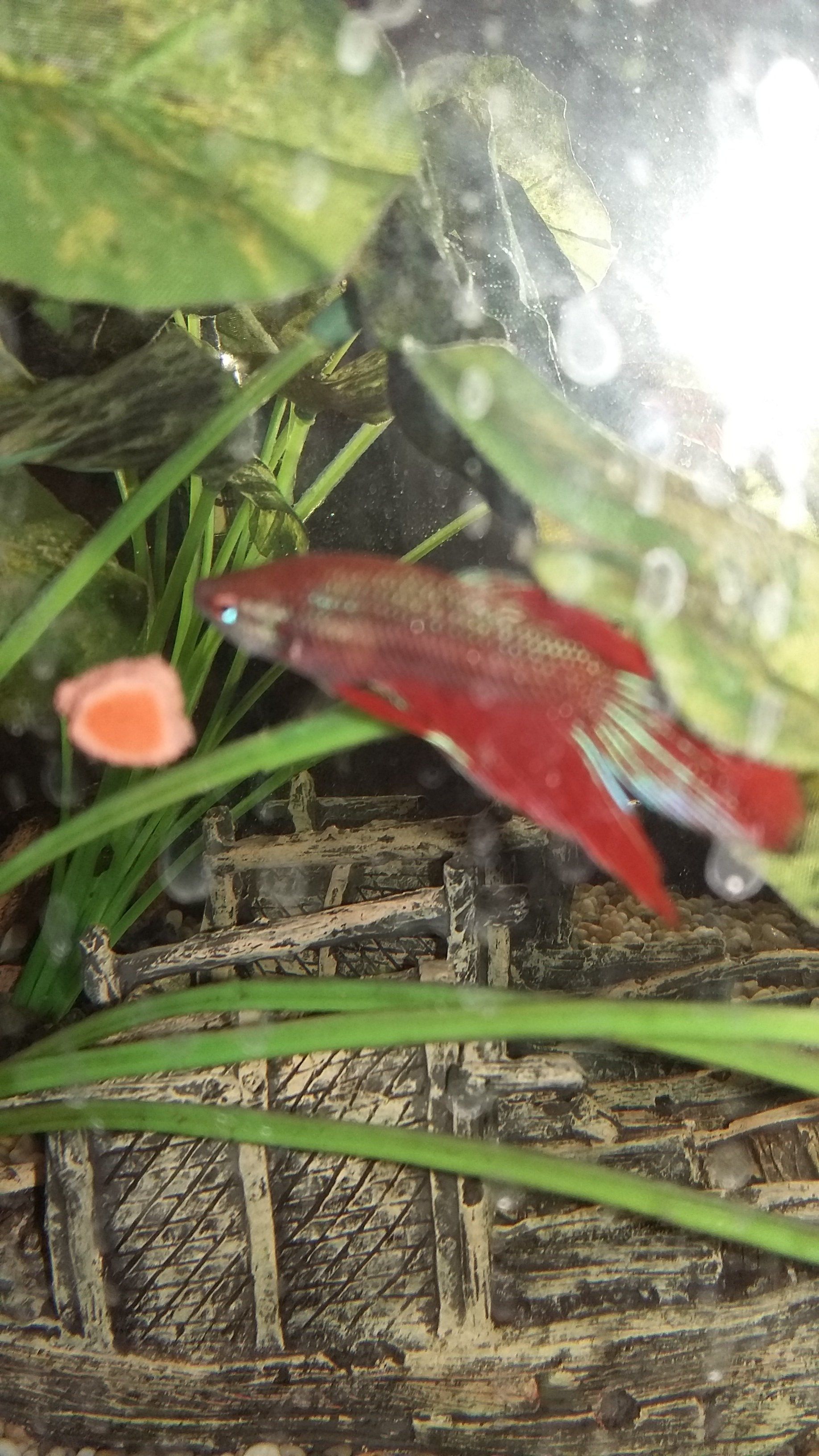 20180428_211529.jpg