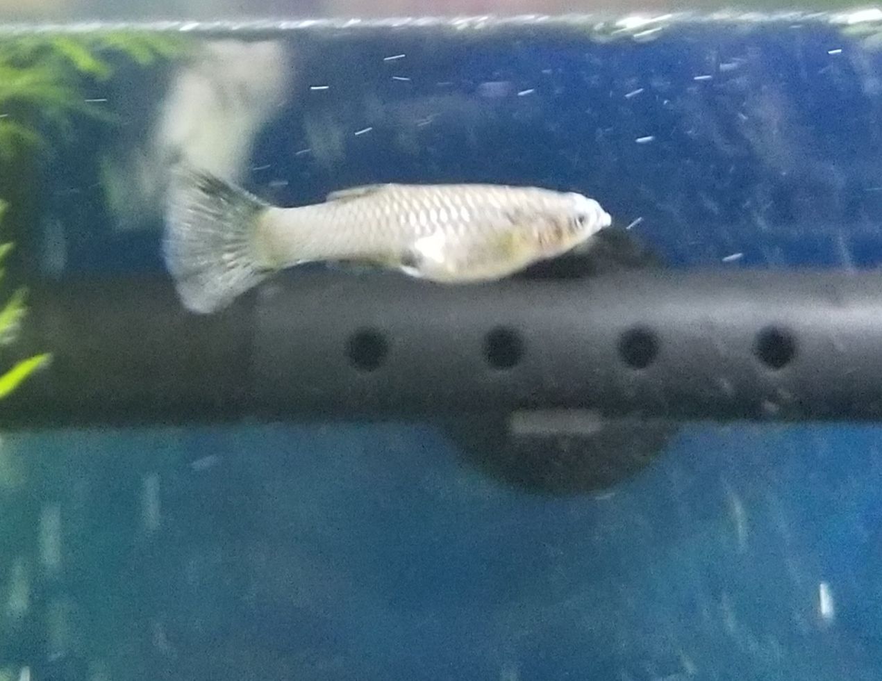 20180527_135106.jpg