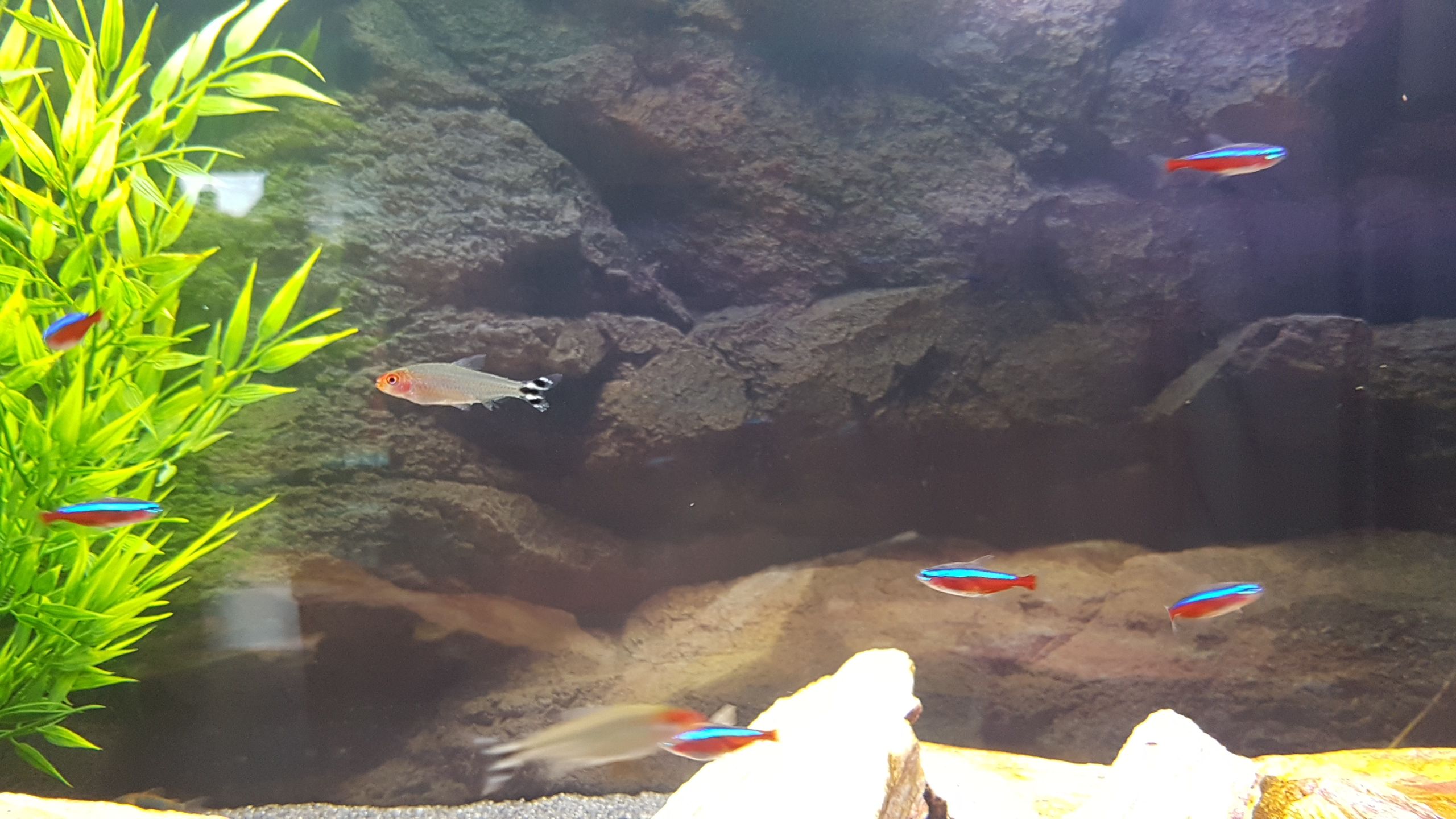 20180603_195416.jpg