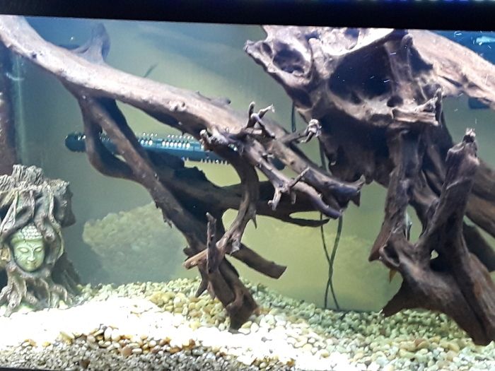 20190420_185710 (1)TFFPC.jpg