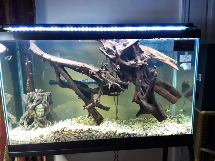 20190420_190054TFFPC.jpg