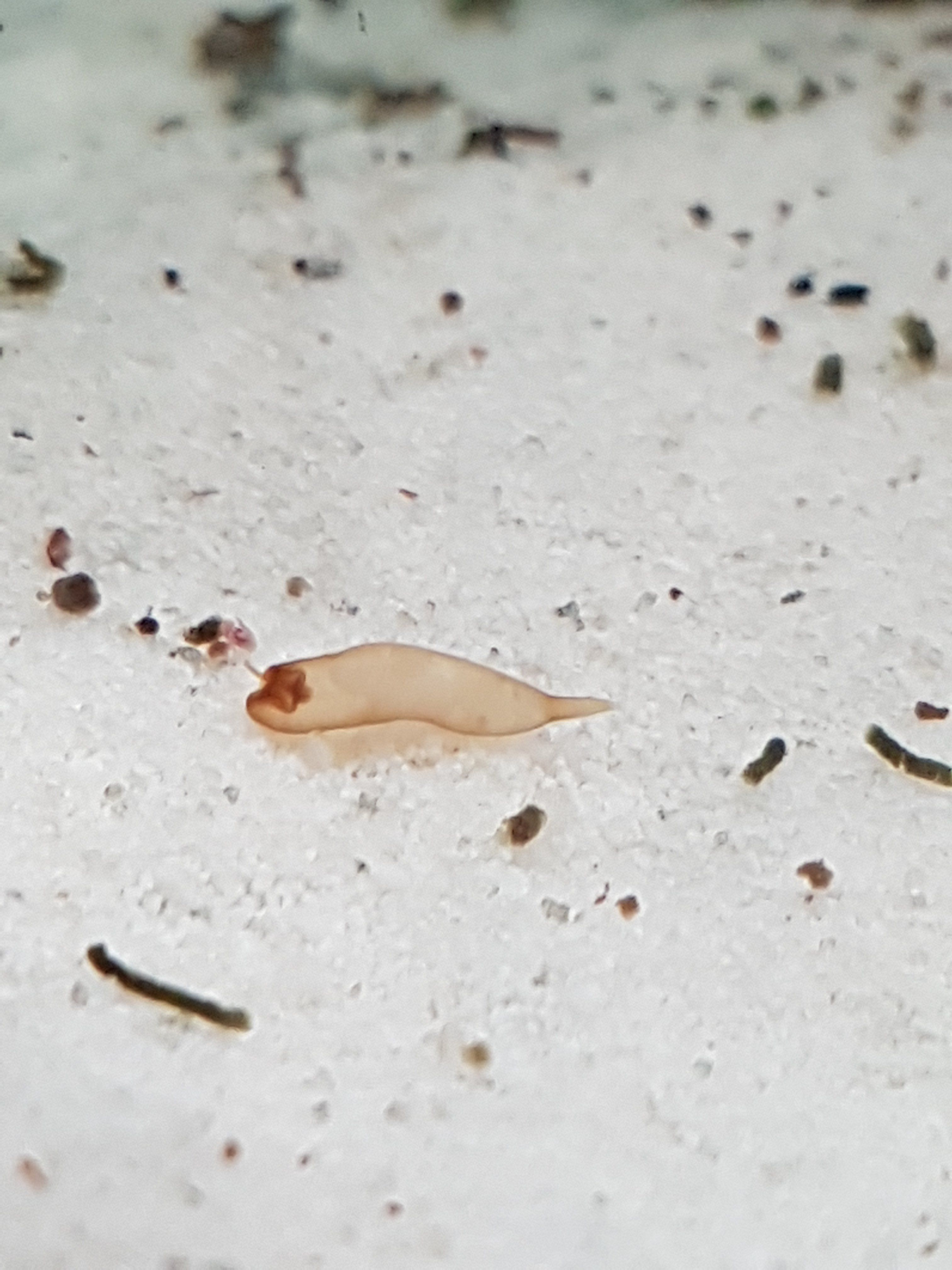 20190506_170747.jpg