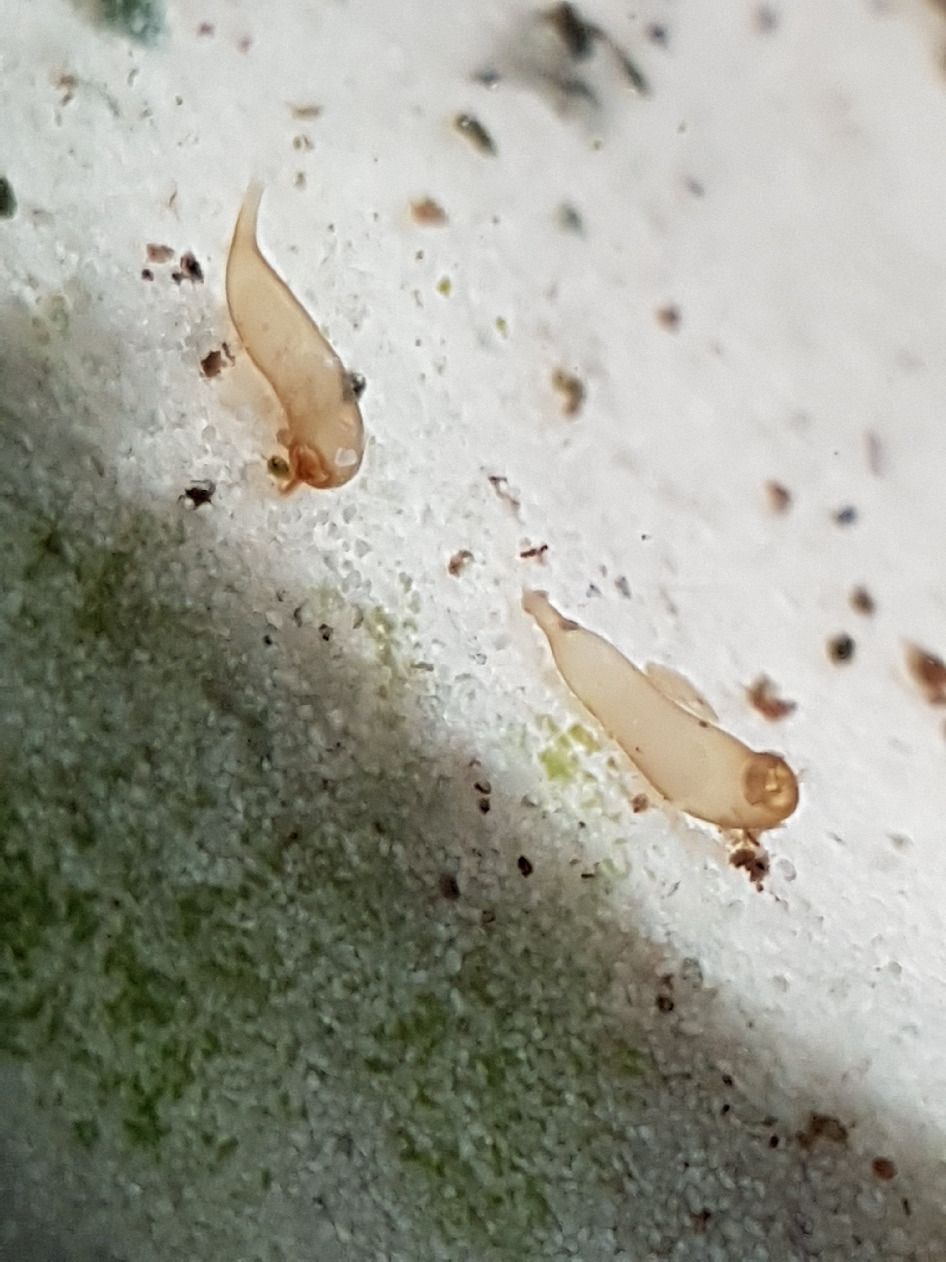 20190506_170917.jpg
