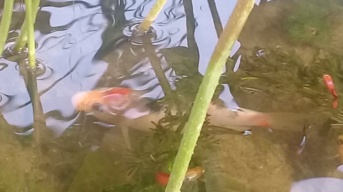 20190616_082215.jpg