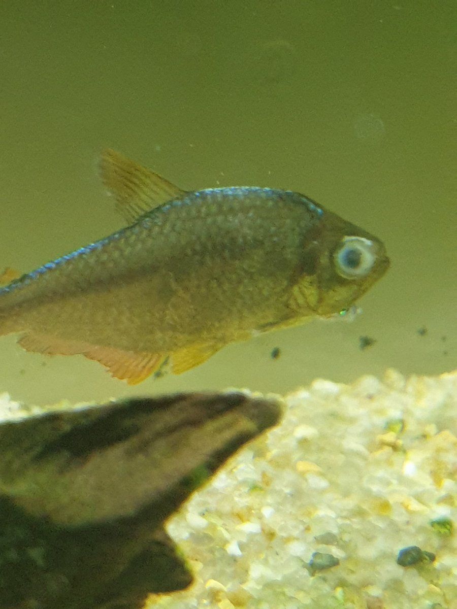 20190823_102758.jpg