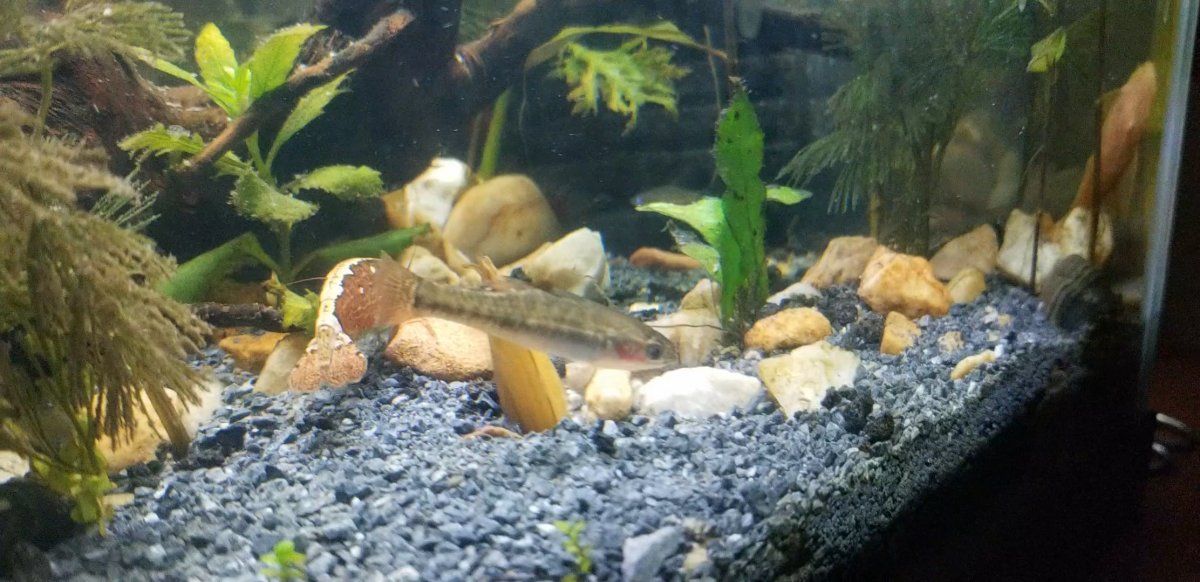 20191117_190303_capture.jpg
