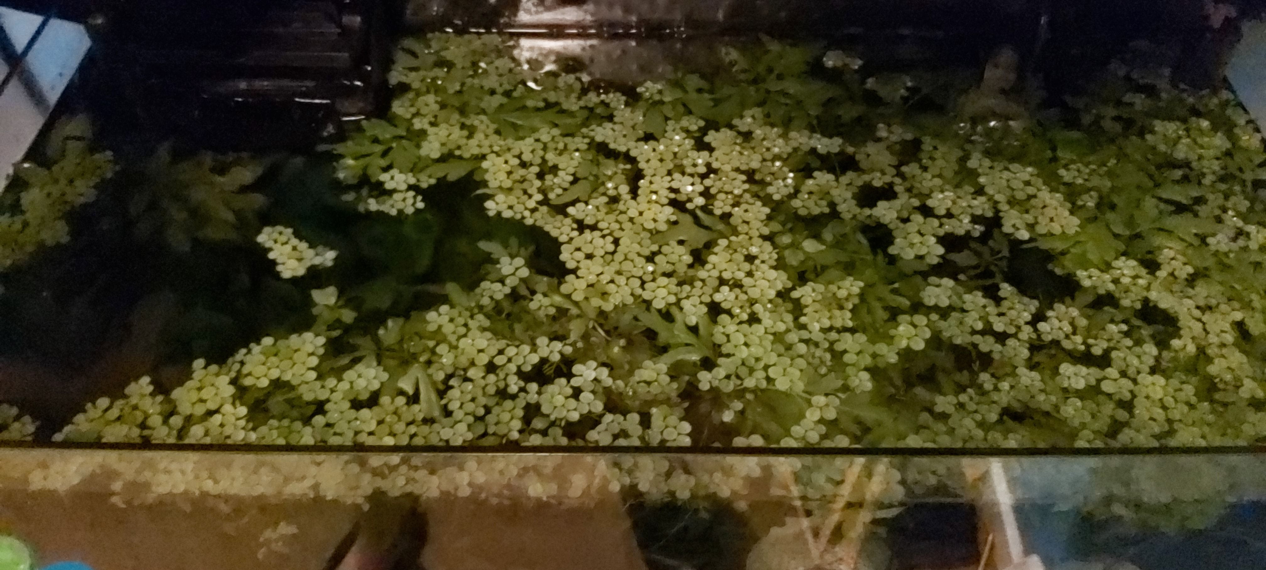 20200415_211440.jpg