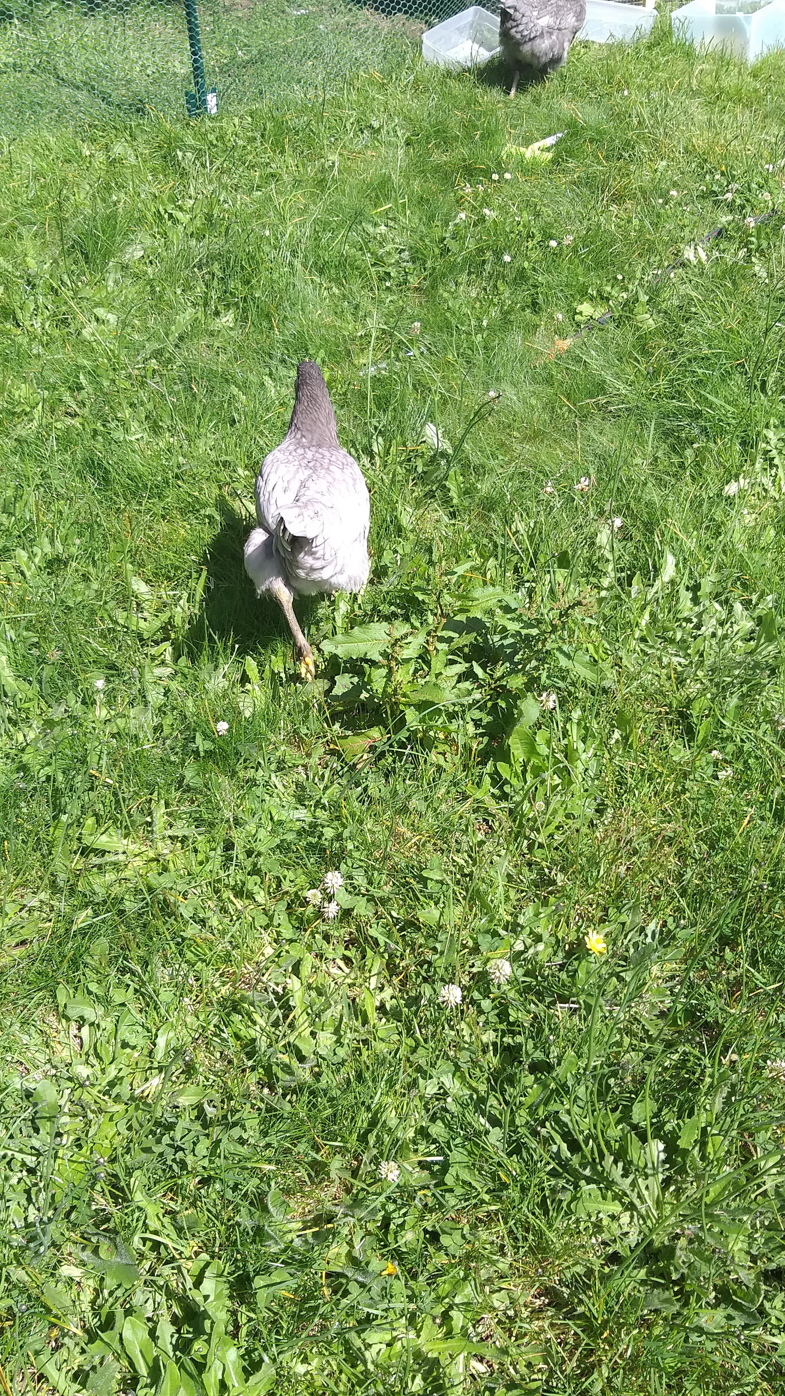 20200618_152512.jpg