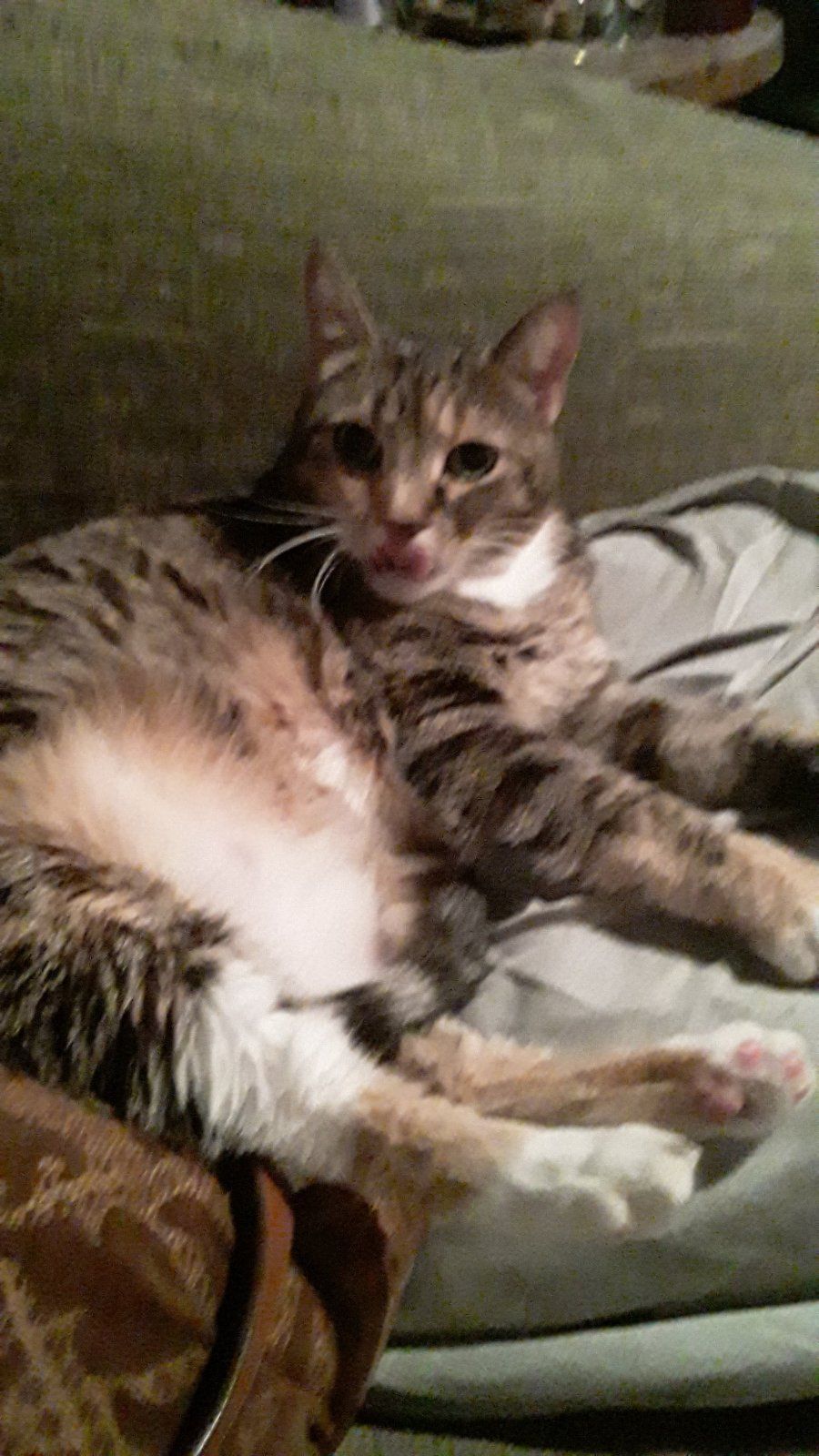 20200915_212446.jpg