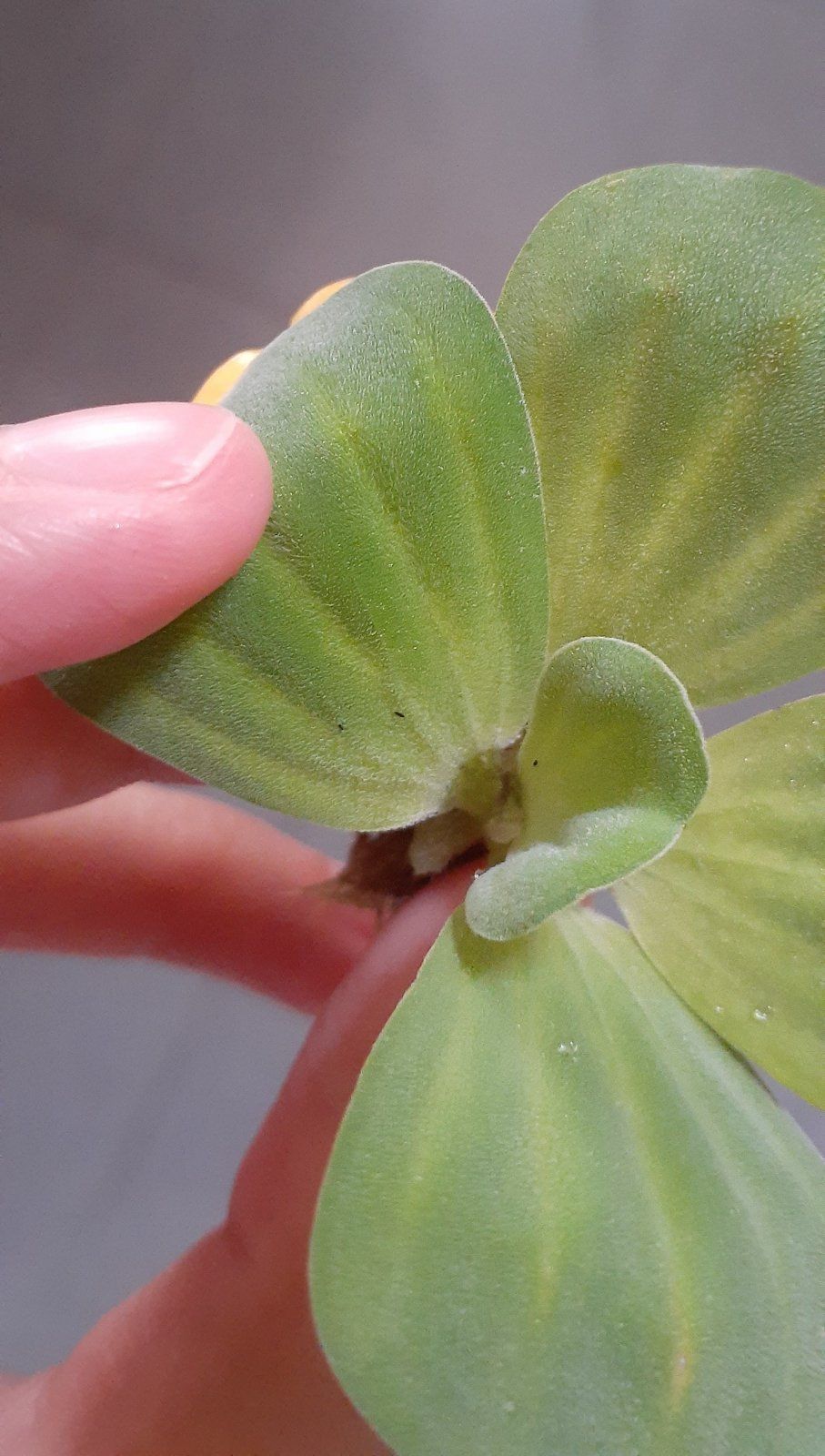 20201003_111806.jpg