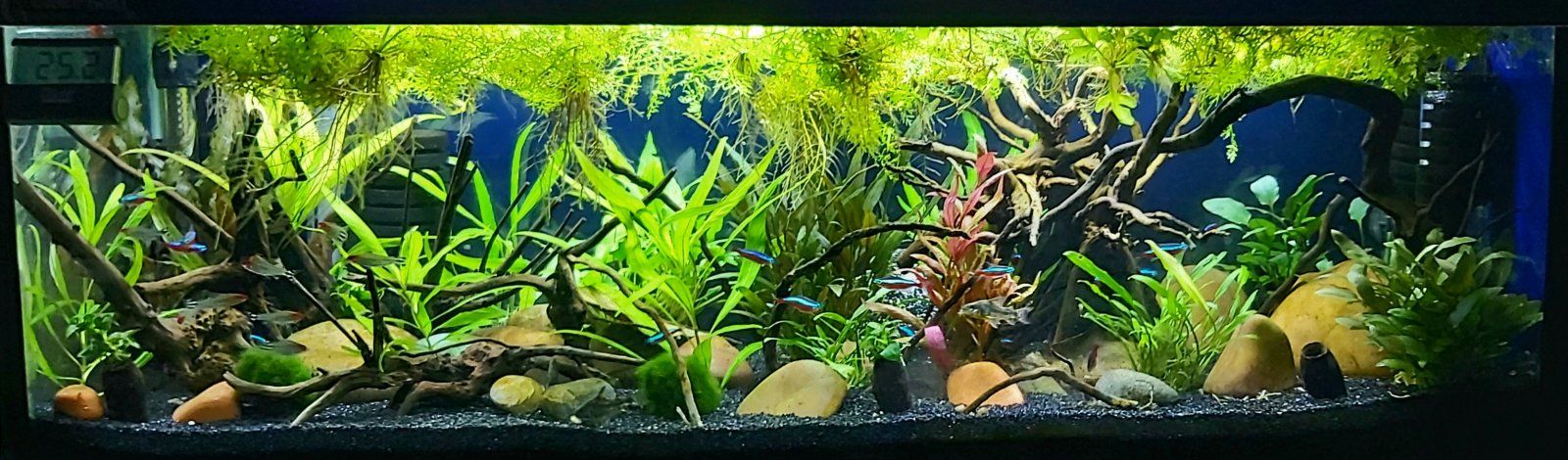 20201101_180713.jpg