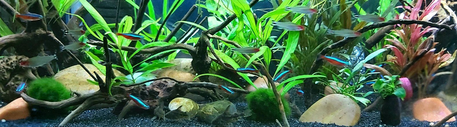 20201101_180756.jpg