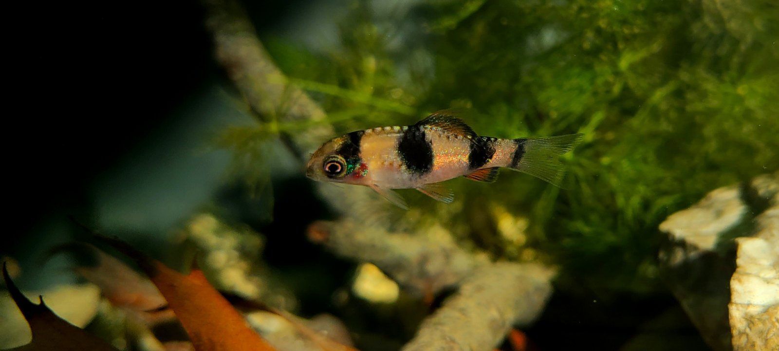 20201108_135752.jpg