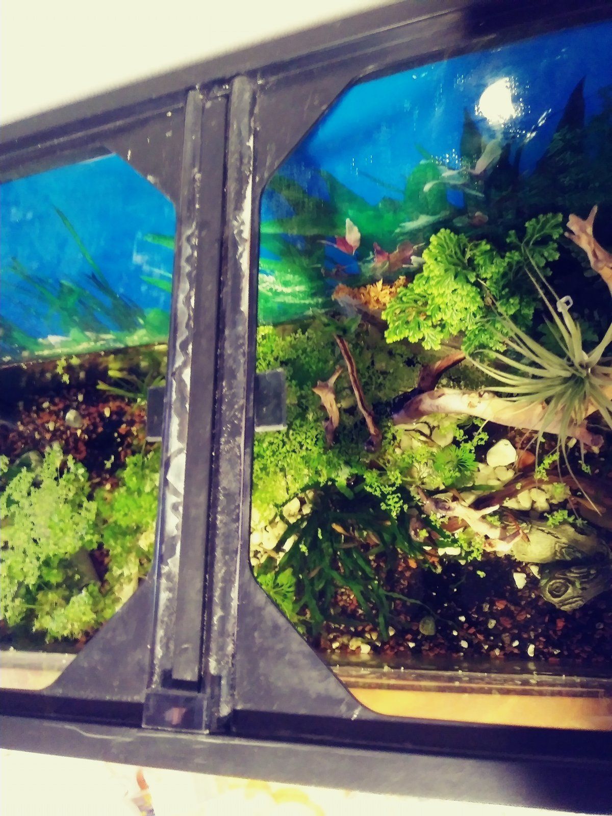 20201212_084646_Film1.jpg