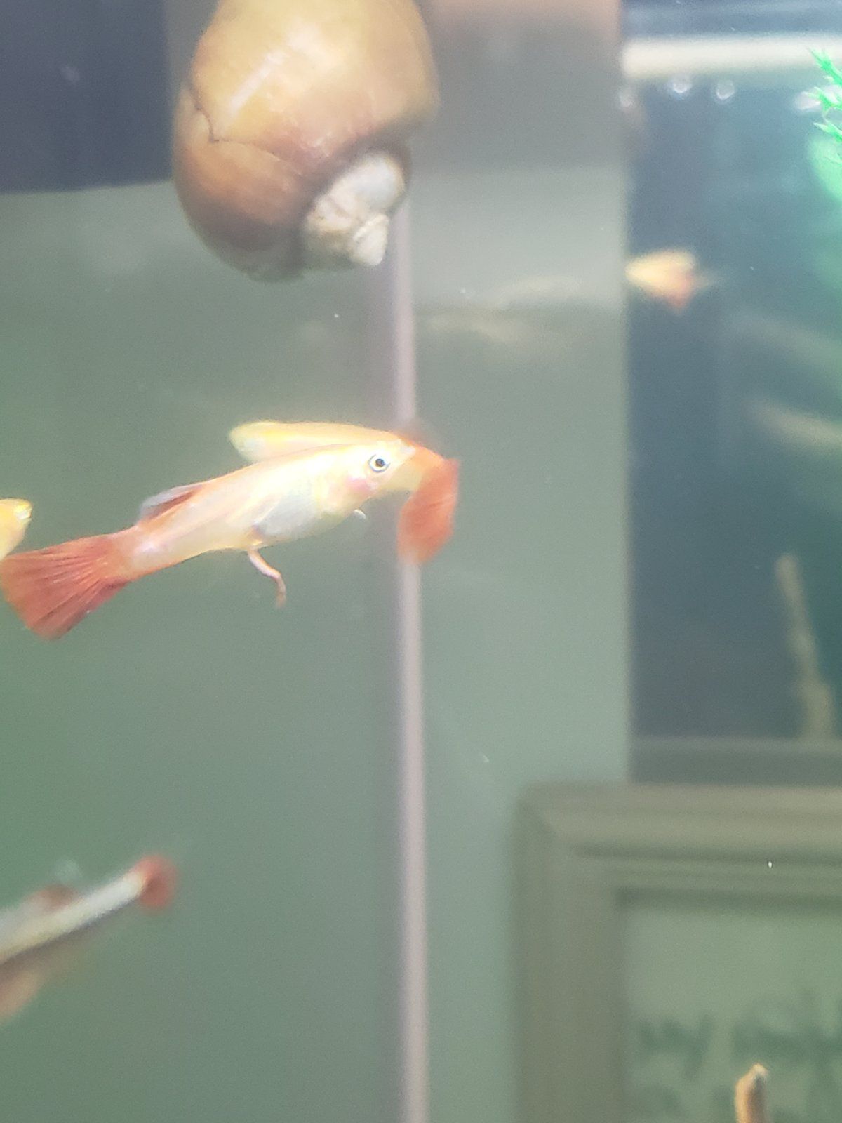20210424_120203.jpg