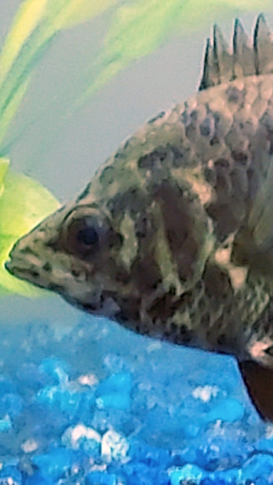 20210803_114900.jpg