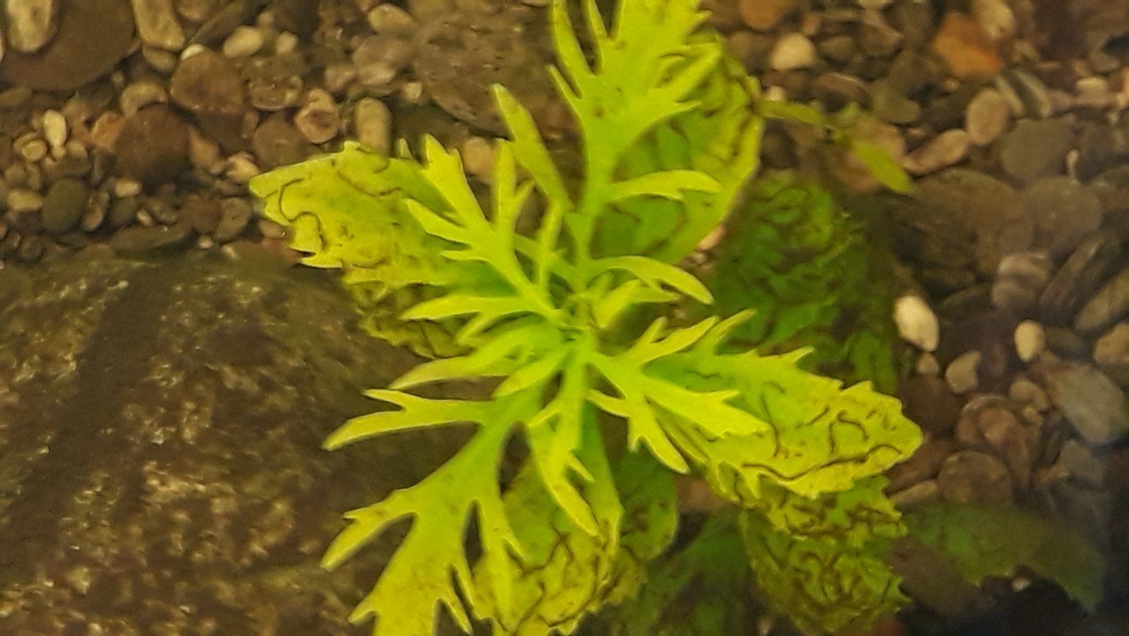 20220105_173900_001.jpg