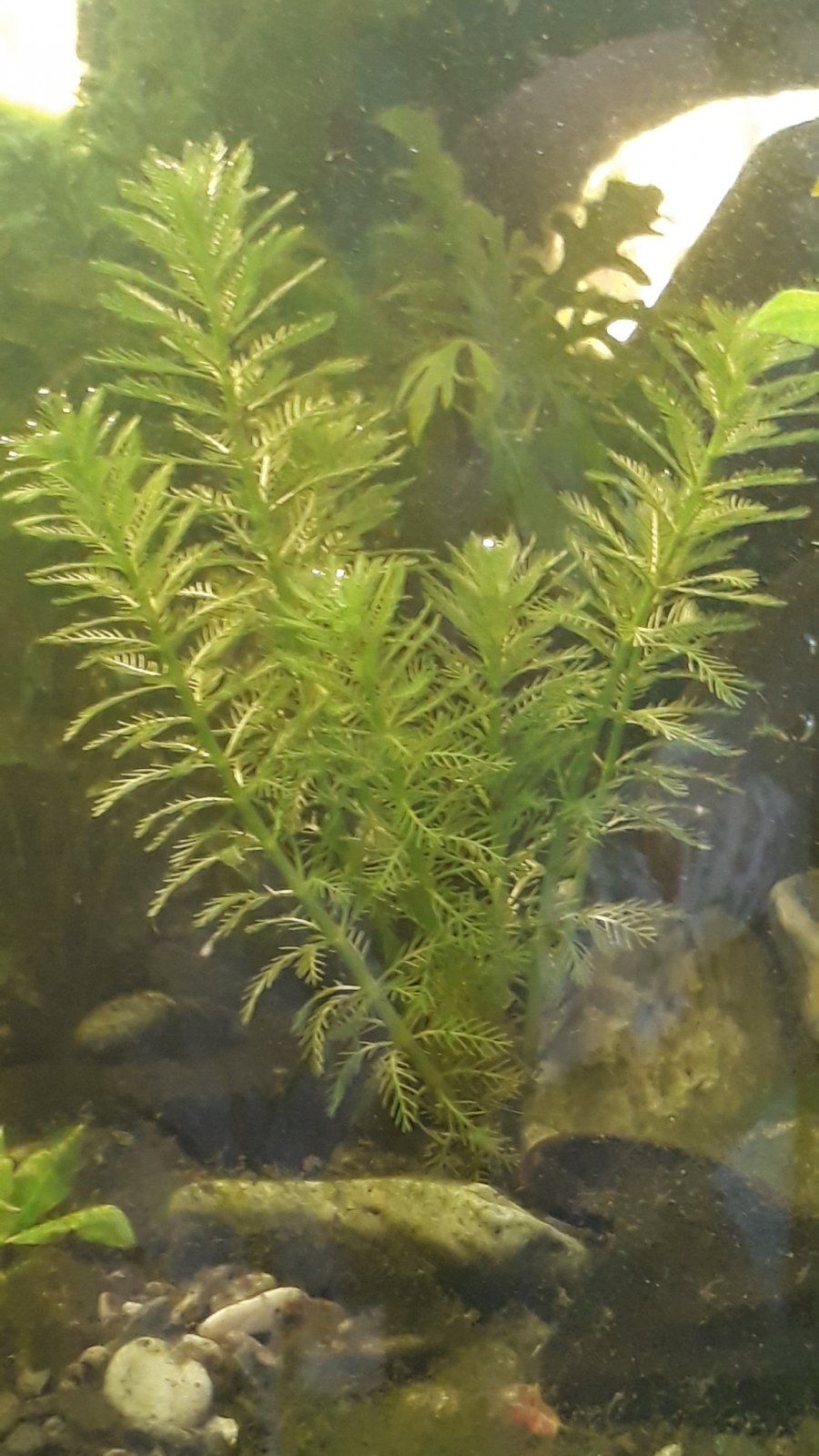 20220314_163542.jpg
