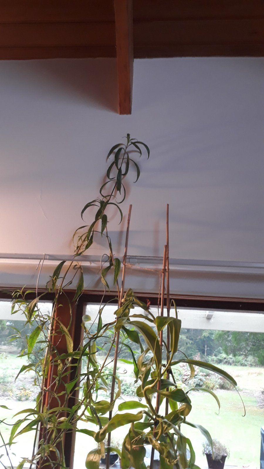20220406_093811.jpg